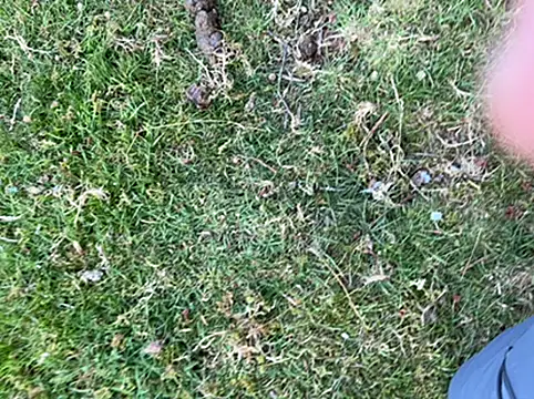 Dan8736 – Naživo XXX chat