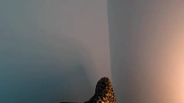 meganmiauun Live XXX chat