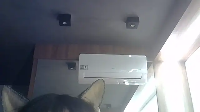 Show de webcam de SkinnyKitten