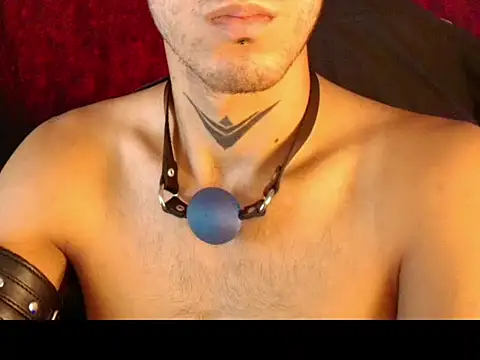 dark_men1 Adlı Modelin Canlı XXX Sohbeti