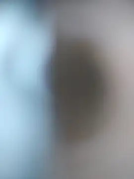 عرض كام tengebongaz