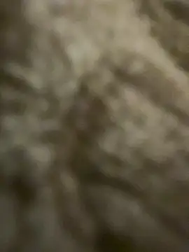 Živý XXX chat rii_cham_g