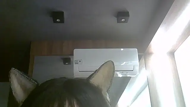 Show de SkinnyKitten na webcam