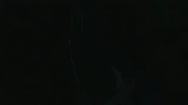 Cotiendam_21 网络视讯表演