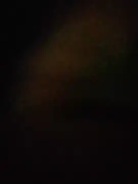 S7LEALTADPERVLIMA7 Obrolan Langsung XXX