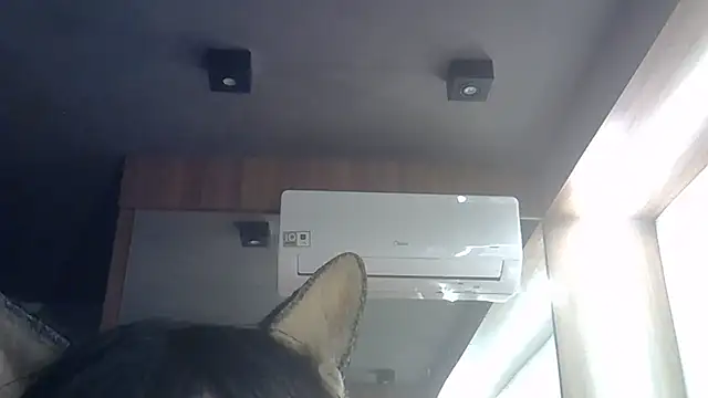 Chat XXX ao vivo de SkinnyKitten