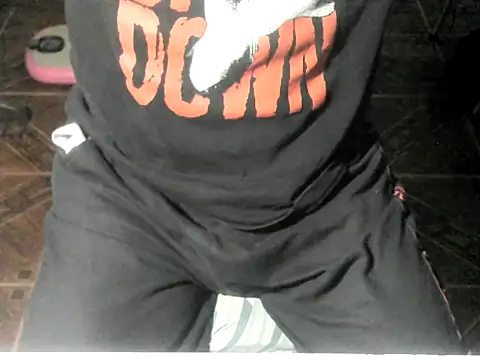 Show Webcam de OreCam