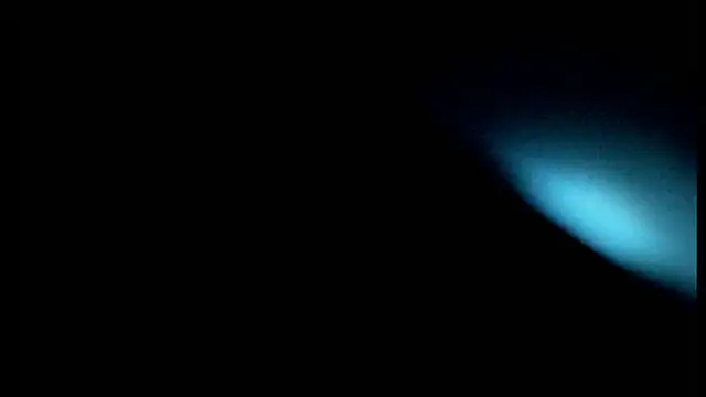 spreet117 XXX чат на живо