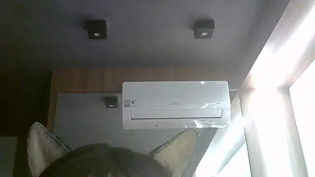 SkinnyKitten – Naživo XXX chat