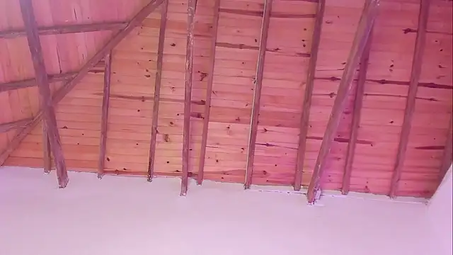 Alexxus_Smith élő XXX-chatje