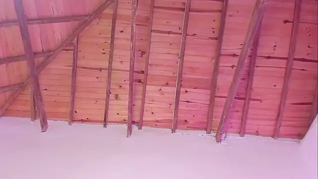 Alexxus_Smith élő XXX-chatje