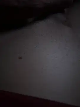 myseryo420n Webbikameraesitys
