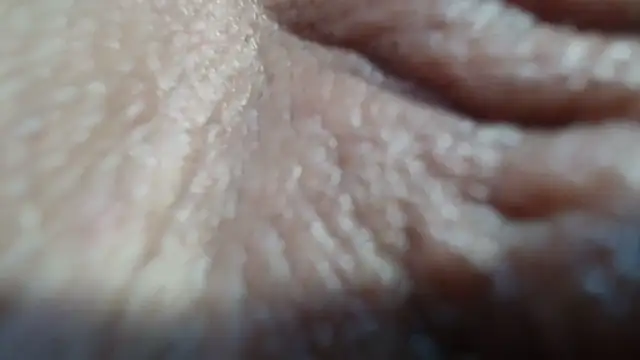 Chat XXX en directo de Alida2Anal