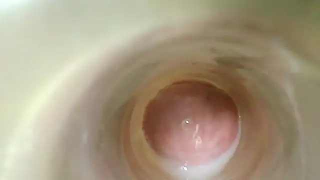 carolina_kann Obrolan Langsung XXX