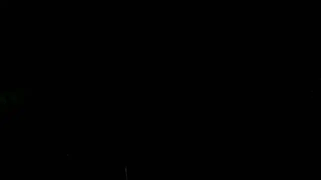georgia10232004 网络视讯表演
