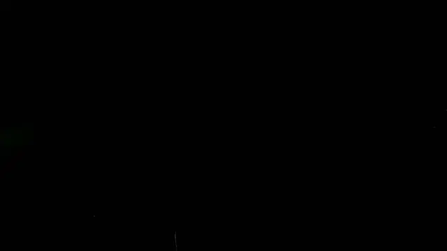 georgia10232004 网络视讯表演