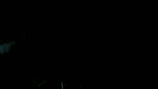 georgia10232004 在線直播表演