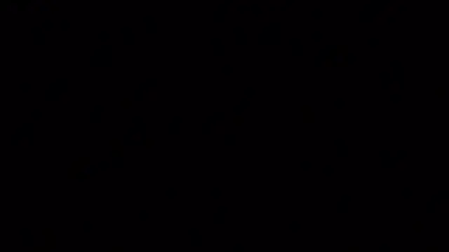 Chat +18 de amgeline ao vivo