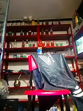 D1ogh0n Webbikameraesitys