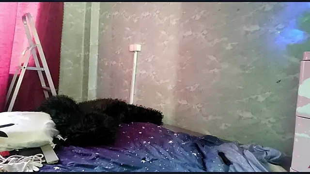 AceAsssn Live XXX chat