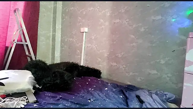 AceAsss Chat XXX live
