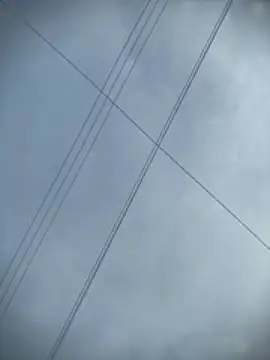 odbodu élő XXX-chatje