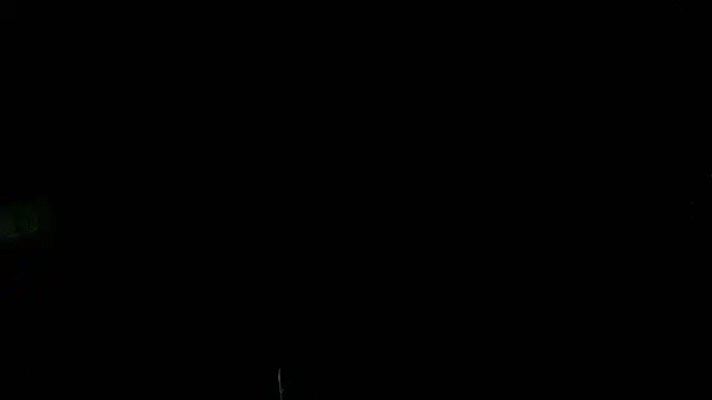 georgia10232004 Pertunjukan Webcam