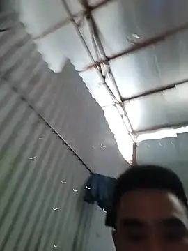Tinh_love 在線直播表演