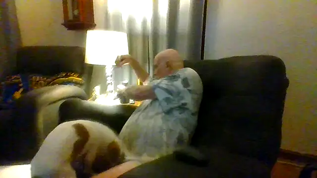 mapsterdaman Chat XXX live