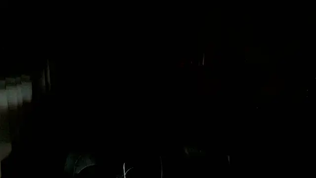 georgia10232004 网络视讯表演