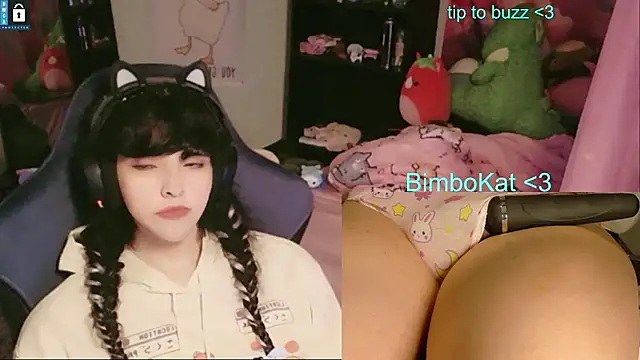 BimboCat লাইভ XXX চ্যাট