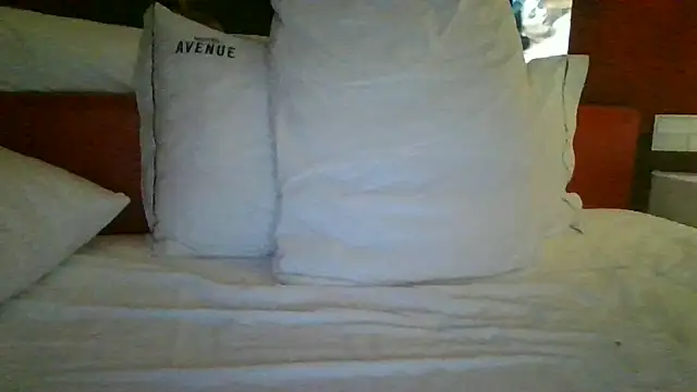 Show webcam de Chichoplus1