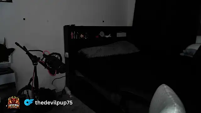 DevilPup75_ লাইভ XXX চ্যাট