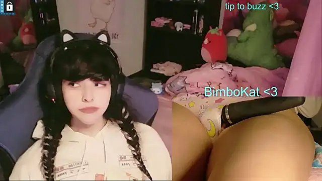 BimboCat Chat XXX in diretta