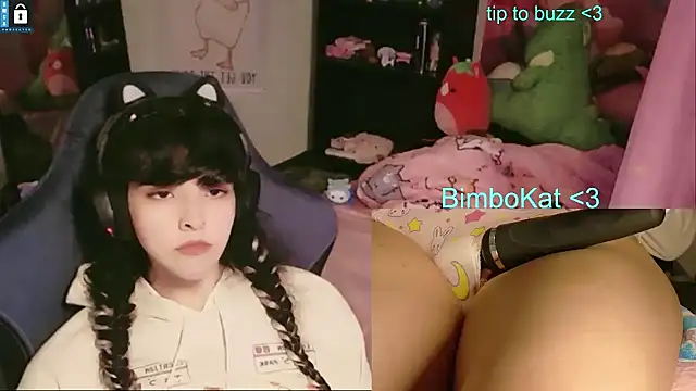 BimboCat 라이브 XXX 채팅