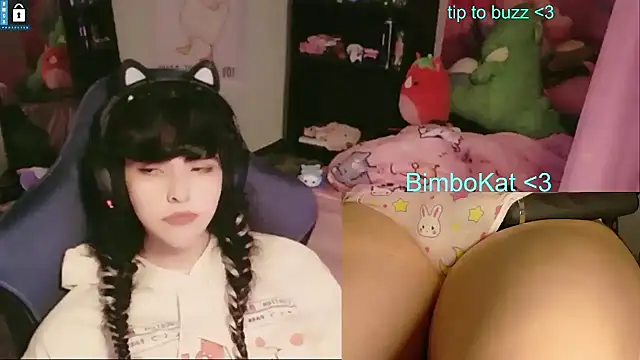 BimboCat Live XXX-chat
