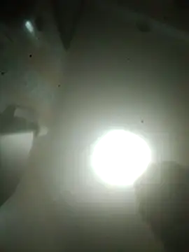Show Webcam de R-ant12