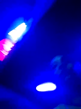 DariJor Show Webcam
