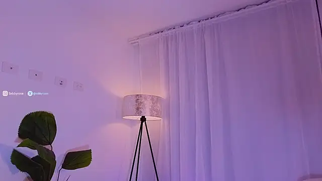 צ'אט XXX בשידור חי של sebbyrose