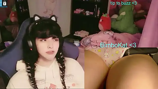 BimboCat Obrolan Langsung XXX