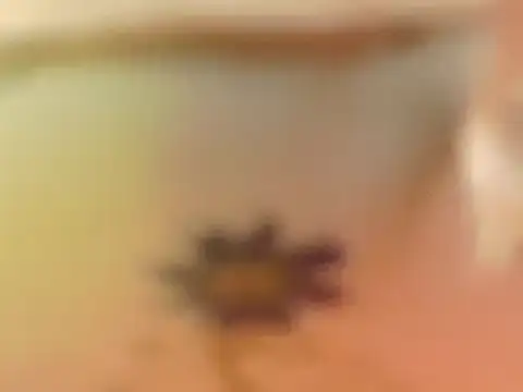 jhon_gade Chat XXX live