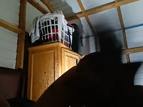 Show webcam de bustingyou