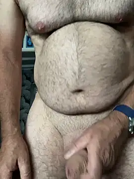 Show webcam de gilou51x