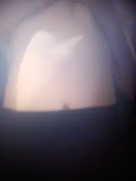 Chat XXX en directo de Rodrigues99