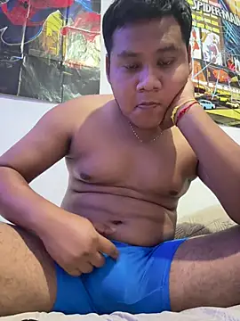 Danimiles Pertunjukan Webcam