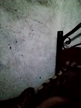 عرض كام salimbasha