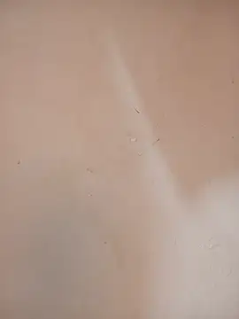 DaisyHarperr 现场XXX聊天