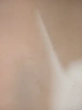 DaisyHarperr's Live XXX Chat