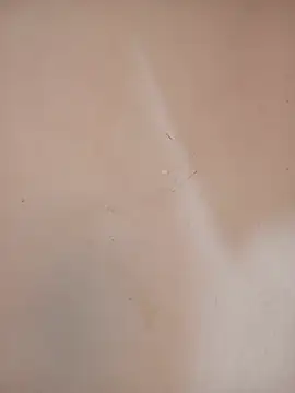 DaisyHarperr's Live XXX Chat