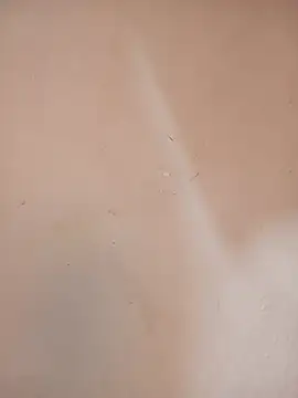 DaisyHarperr's Live XXX Chat